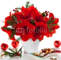 Christmas_arrangement_of_amaryllis.jpg