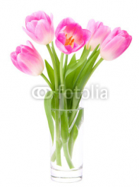 Pink_tulips_bouquet_in_vase_isolated_on_white_background.jpg