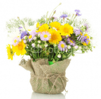 beautiful_bouquet_of_bright__wildflowers_in_flowerpot_isolated.jpg