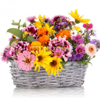 beautiful_bouquet_of_bright_flowers_in_basket_isolated_on_white.jpg