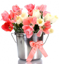 beautiful_pink_tulips_in_bucket_isolated_on_white..jpg