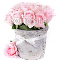 roses_in_a_pot.jpg